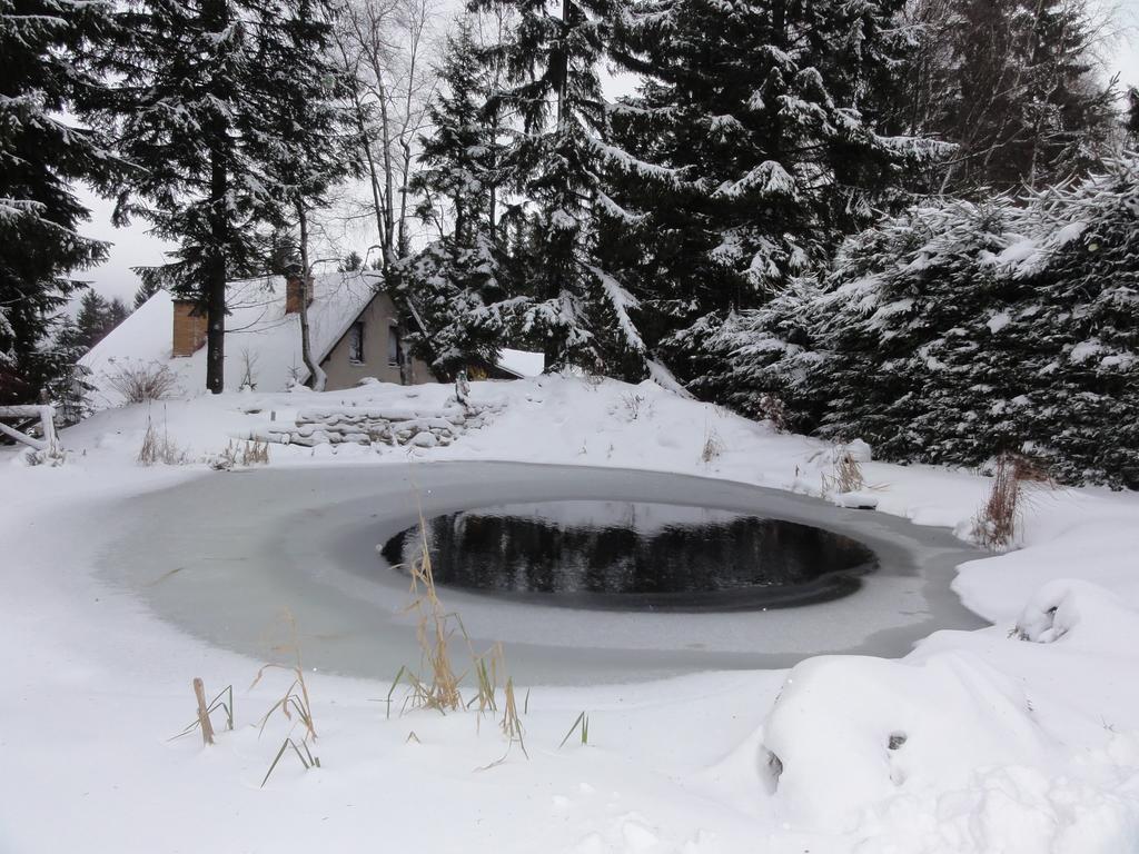 Hotel Pavla Vysocina Nove Mesto na Morave Eksteriør billede