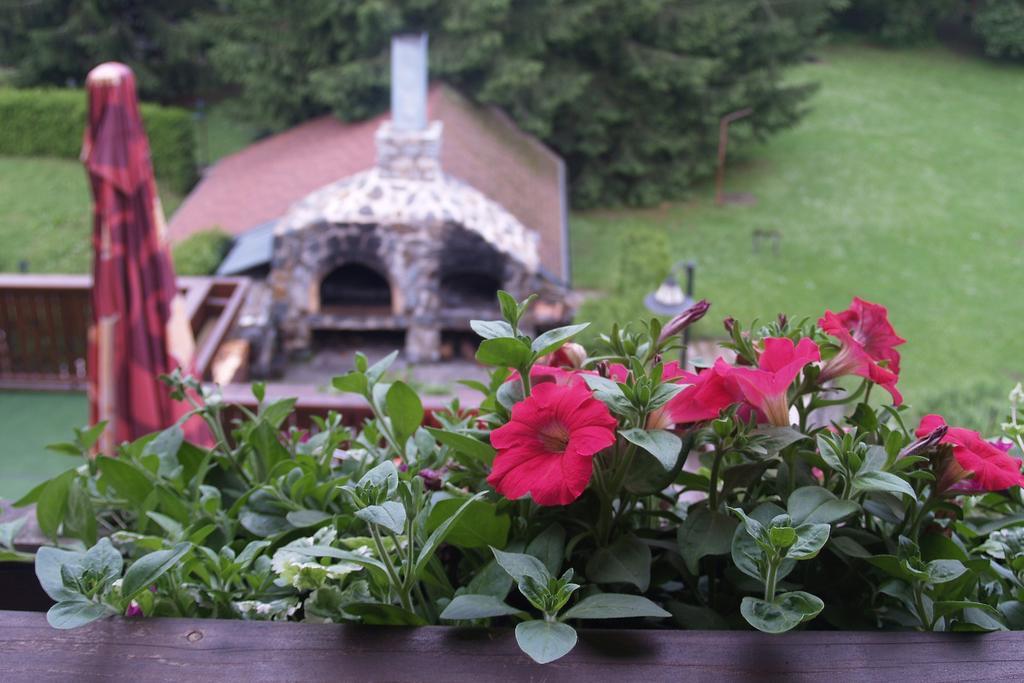 Hotel Pavla Vysocina Nove Mesto na Morave Værelse billede